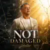 Jdollar - You Are Not Damaged