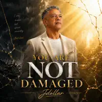 You Are Not Damaged — Jdollar