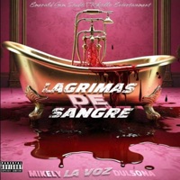 LAGRIMAS DE SANGRE - Single - Mikely La Voz Dulsona