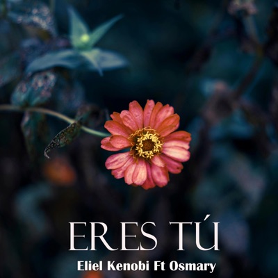 Eres tú - Single