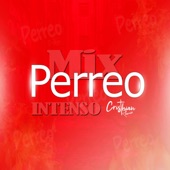 Mix Perreo Intenso 2024 (Old School) artwork