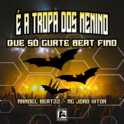 É A TROPA DOS MENINO QUE SÓ CURTE BEAT FINO (feat. MC João Vitor) - Single