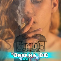 ICE PRA ELA - Single - Mc Orelha DG & Dj Nando Original