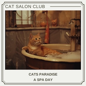 Cats Paradise: a Spa Day