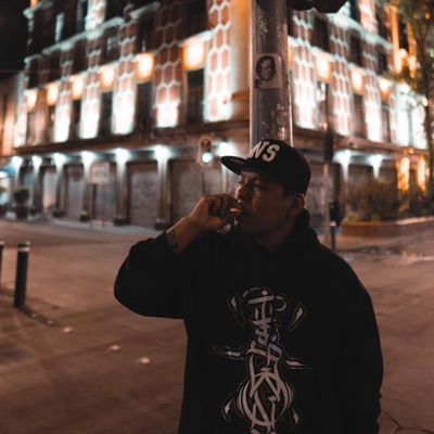 VERDADES (feat. Taxidérmico) - Single