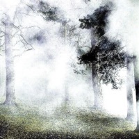 Loafs (feat. Krysh) - Single - Kpsosa