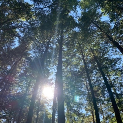 God gave me that - Single