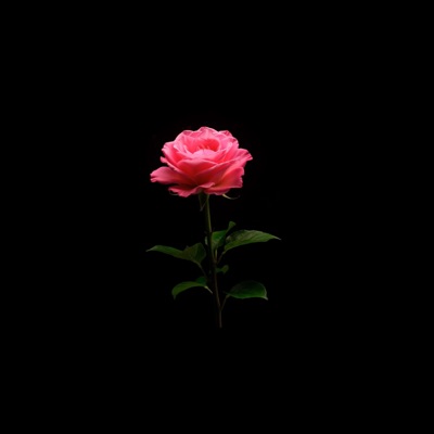 Come Over - Single