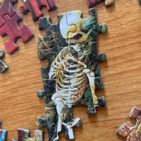 what to do? (feat. NONAME) - Single - OFFBRXND