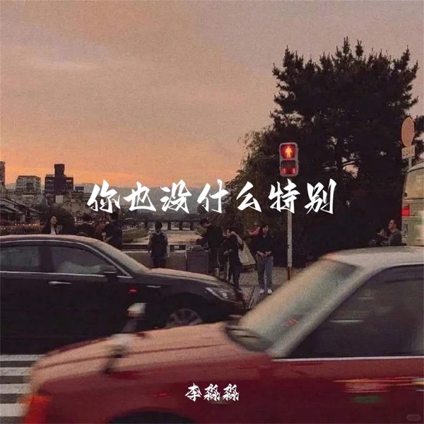 你也没什么特别 - Single