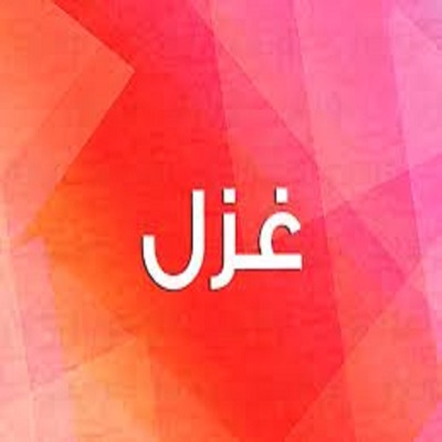 غزل - مش عيب انك تتعب وتشقي
