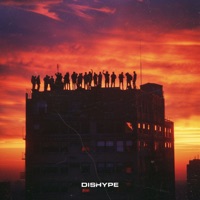 P40 - Single - DISHYPE