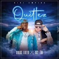 Quitte (feat. Boy Tag) - Single - Divine Listic