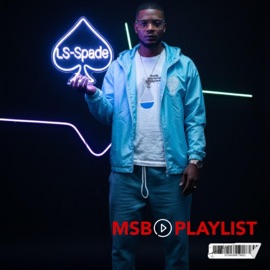 MSB FASHION LS -Spade