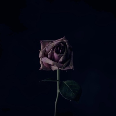Mental Health - Single
