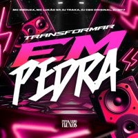 Transformar em Pedra (feat. DJ CBO ORIGINAL & Mc Lukão Sp) - Single - MC MEDUZA, DJ MT7 & DJ TRAKA