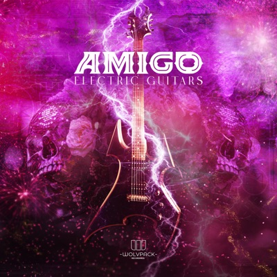 ELECTRIC GUITARS - Single