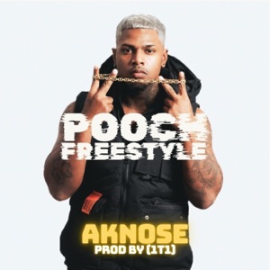 Pooch (Radio Edit)