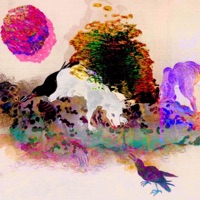 After Thought - Cartezian