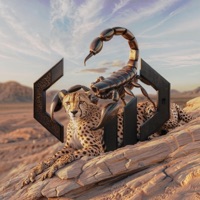 inMYhead - Single - Werre