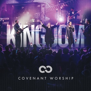 More, Holy Spirit (feat. Joshua Dufrene, David & Nicole Binion & Colin Edge) [Live]
