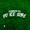 Fumaça do Ice Sobe - Single