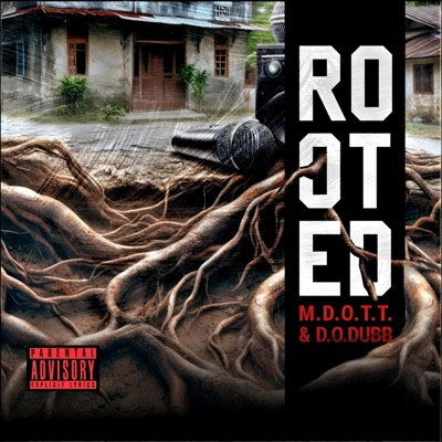 Rooted
