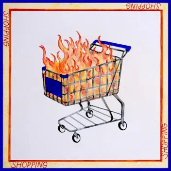 Shopping album cover