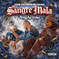 Sangre Mala (feat. YngActivke) - Single - Cen Cal Sureño Radio