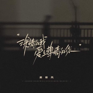 深情的我爱上薄情的你 - Single