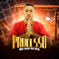 Processo - Single - MC IGUI DA VLG