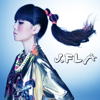 Blossom - J.Fla