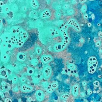 The Sea Around Us - Single - More Milk