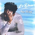 No way by Ks Bloom