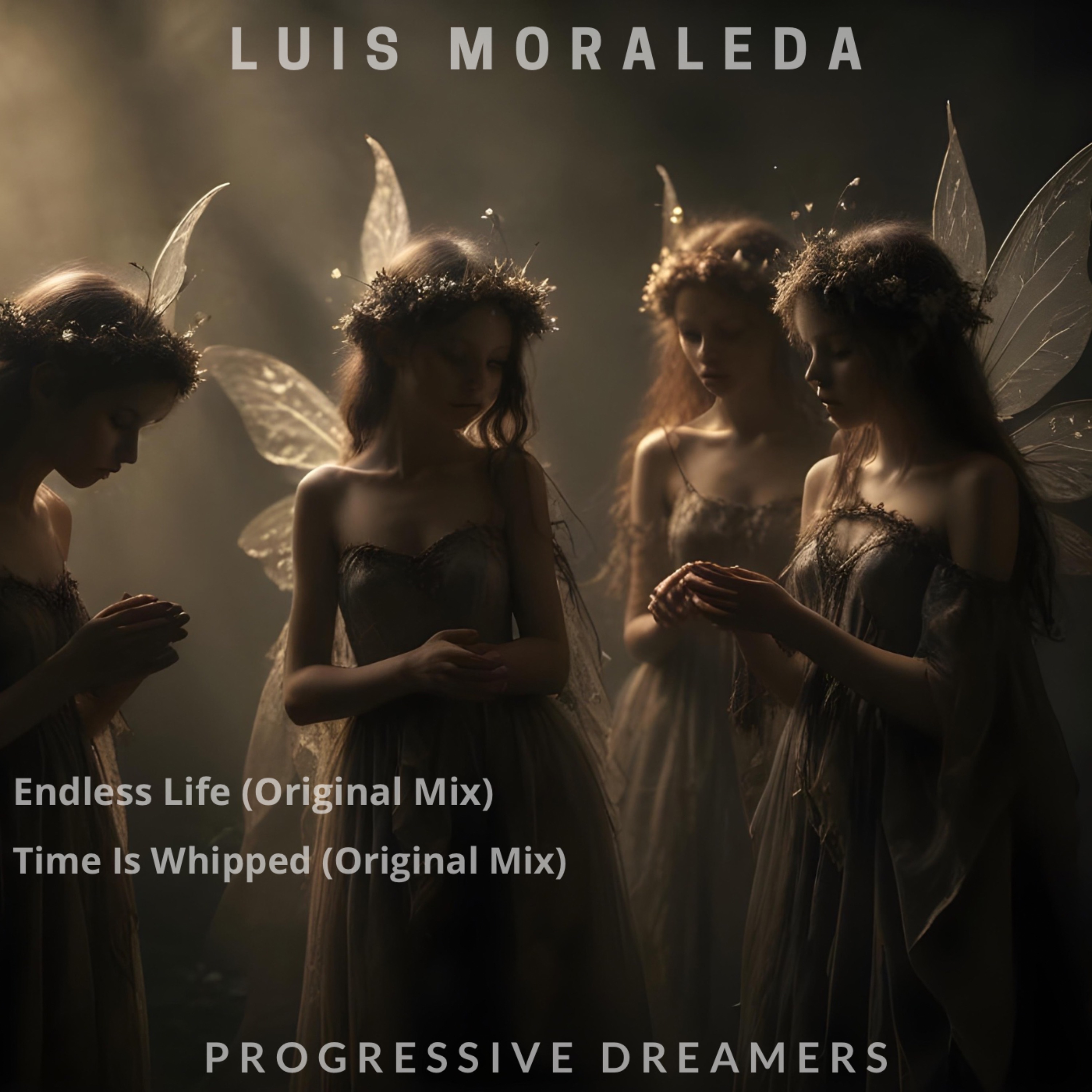 Endless Life - Single