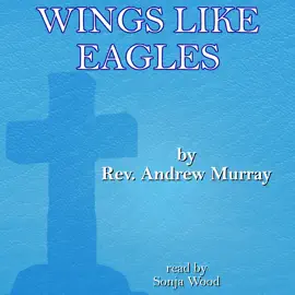 Wings Like Eagles