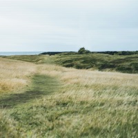 210 - Single - shocky