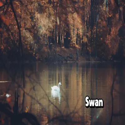 Listen to Swan by Hide Ssam