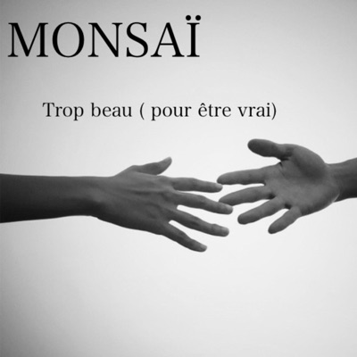 Trop beau (pour être vrai) - Single