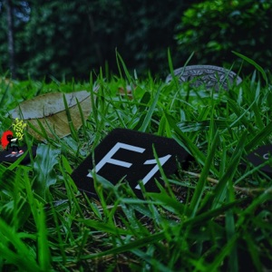 F1