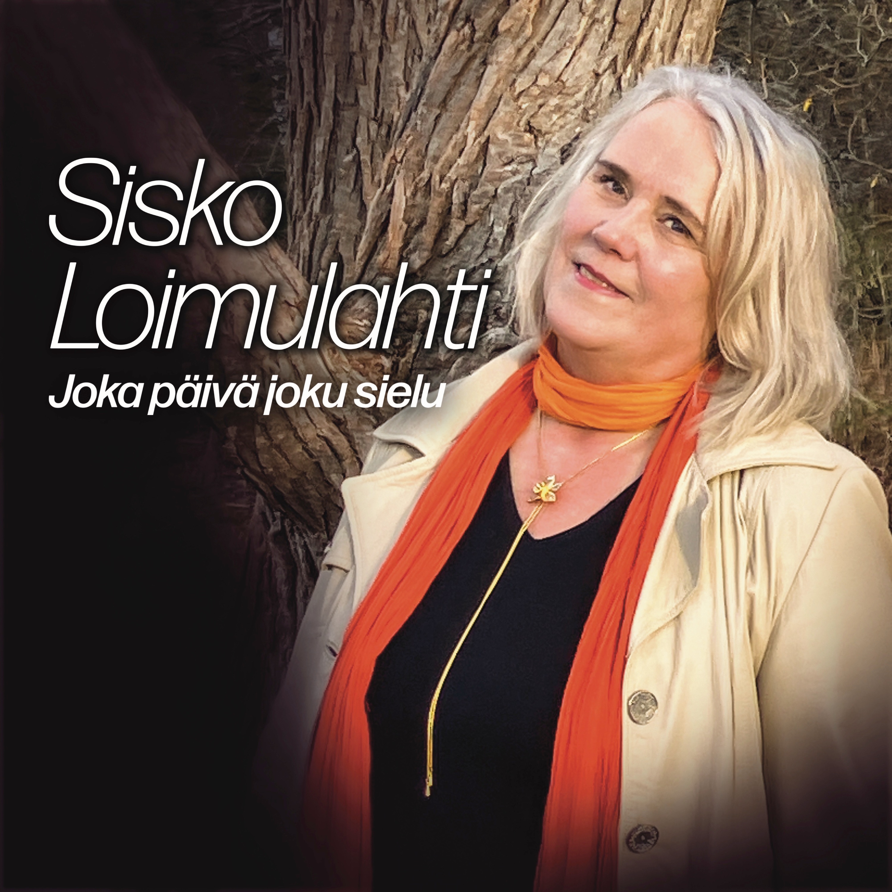Joka Paiva Joku Sielu - Sisko Loimulahti