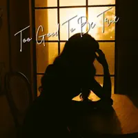 Too Good To Be True — Jaden Narvios