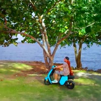 Turista - Single - Macha Y El Bloque Depresivo