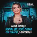 Tarde Demais / Depois Que Você Matar Meu Coração / Indiferença