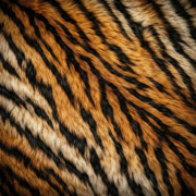 LAVUKFLOW - EP - berbers