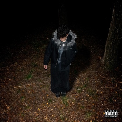 Vamp Feelings - EP