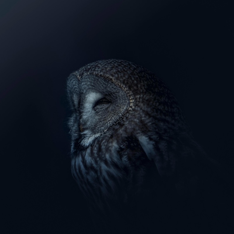 Lacuna