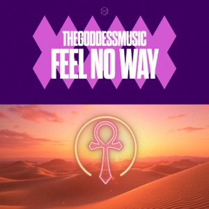 Feel No Way - Single