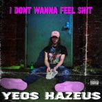 I DONT WANNA FEEL SHIT - Single