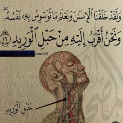 Amir97 - عندما تموت الدنيا لا تحزن عليك وَنَحْنُ أَقْرَبُ إِلَيْهِ مِنْ حَبْلِ الْوَرِيدِ